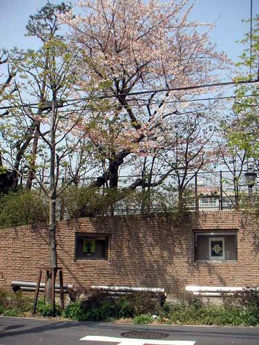 ZẽM[ƍ